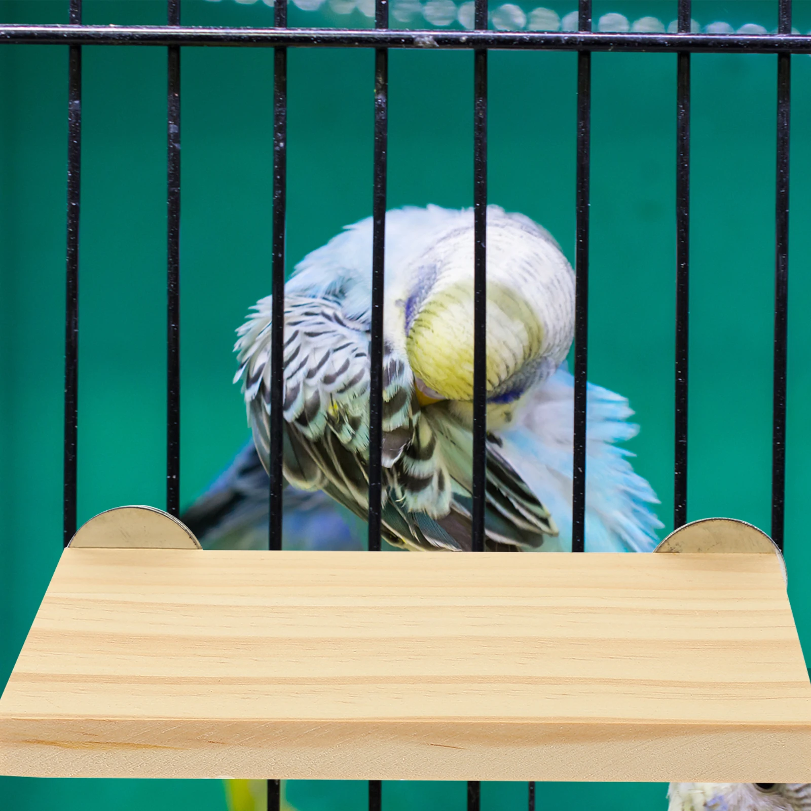 

Parrot Perch Bird Standing Platform Parrot Standing Wood Wooden Accessory Durable Natural Craft Small Medium Birds Pet