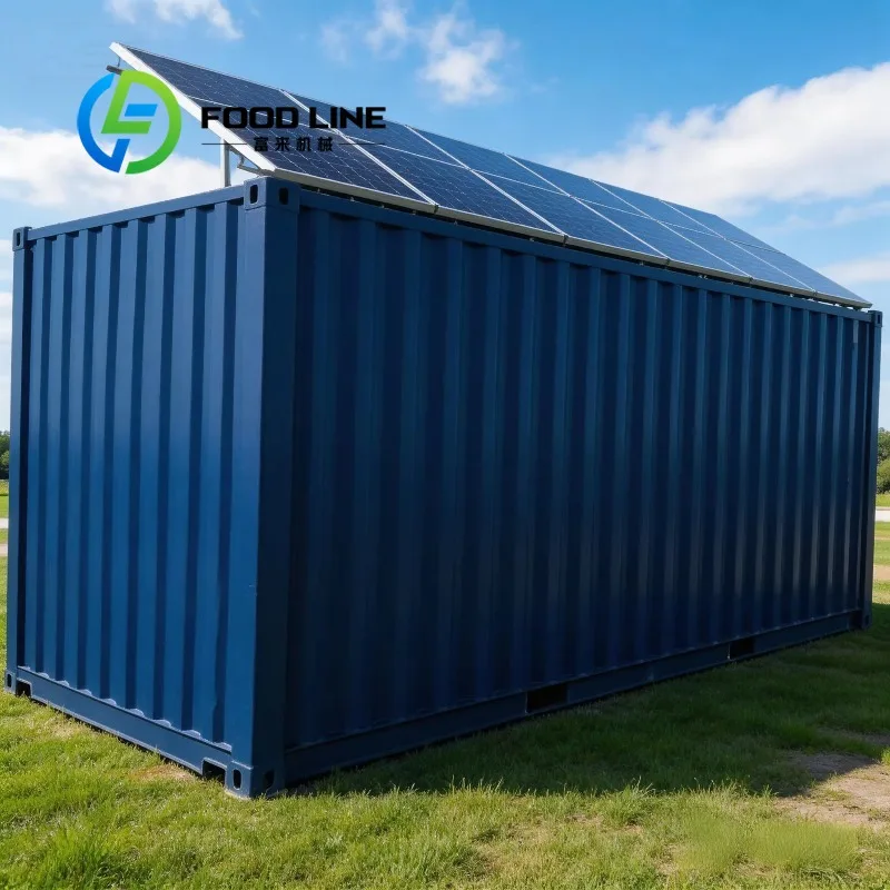 Rural Farm 40ft Solar Container Cold Room Works Off Grid With Solar Panels For Remote Village Fruit And Dairy Batch Cold Storage