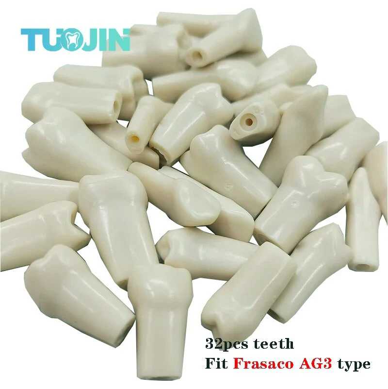 

Dental Teeth Model Full teeth 32Pcs Replacement Tooth Particles Fit F AG3 Dentistry Preparation Training Teach