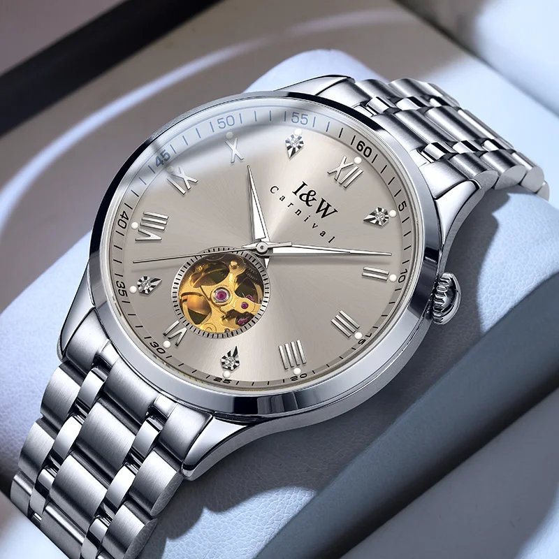 Carnival Brand Iw H… - image