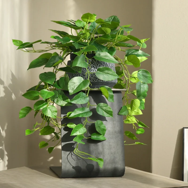 

Artificial plants hanging wall apple leaves pothos vines viewing living room outdoor garden bedroom with Nordic home decoration