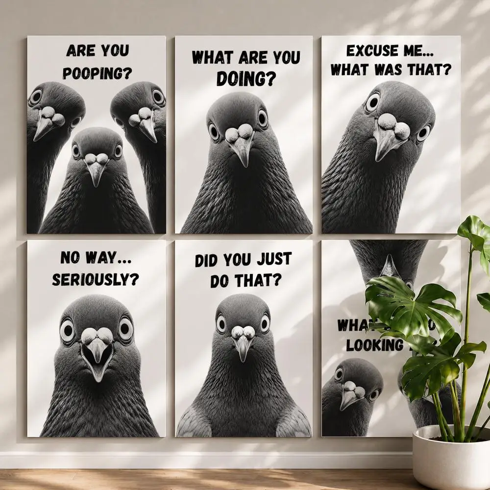 Cute Pigeon Bird Lover Gift Poster HD Self Adhesive Waterproof Wall Art Ideal for Home Office Dorm Bedroom Great Gift