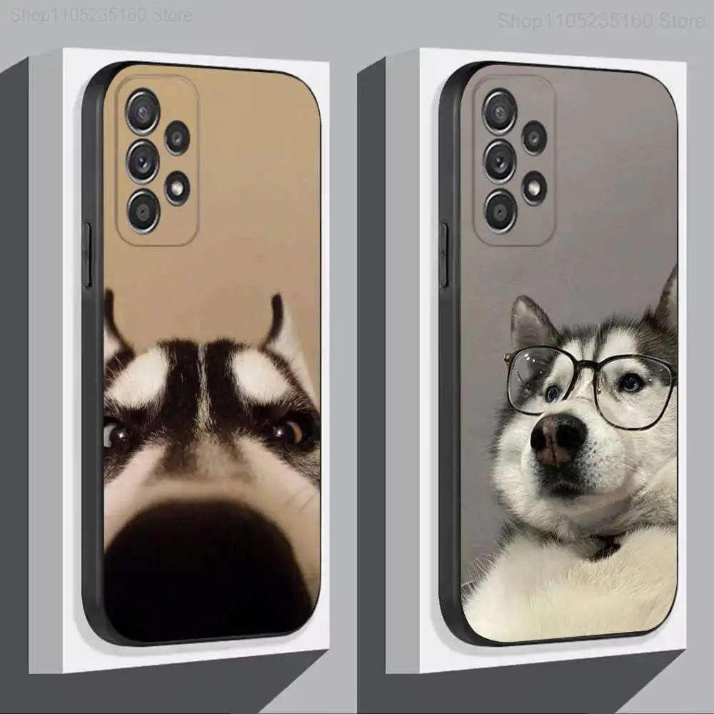 S-Siberians Funny H…