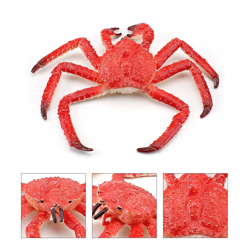 New Simulation Ocean Sea Life Animal Crab Model Marine Life Spider Crabs Action Figures Early Educational Toys for Children Gift