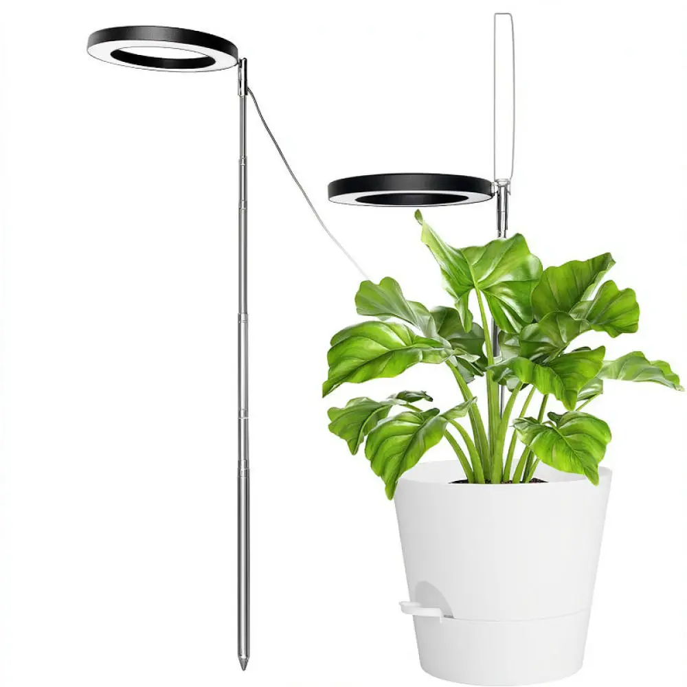 Angel Ring Plant Light LED Indoor Greenhouse Hydroponic Growing Lamp Full Spectrum Height Adjustable Desk Succulent Light