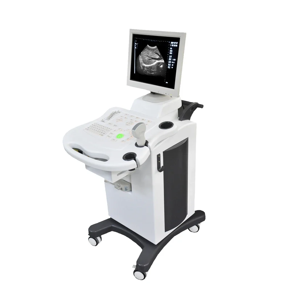 Medical Factory Supplies portable 4d ultrasound for Medical diagnostic imaging center using