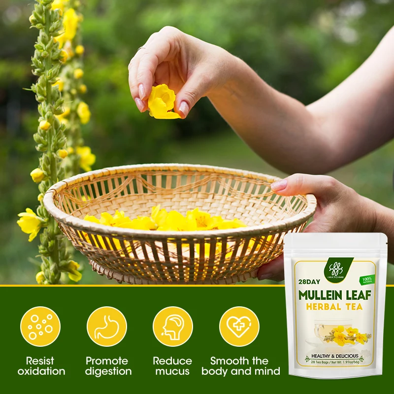 Natürlicher Königs kerzen blatt tee-Kräuter-Atmungs ergänzung-zur Lungen reinigung, zur Unterstützung einer besseren Atmungs-und Immun funktion