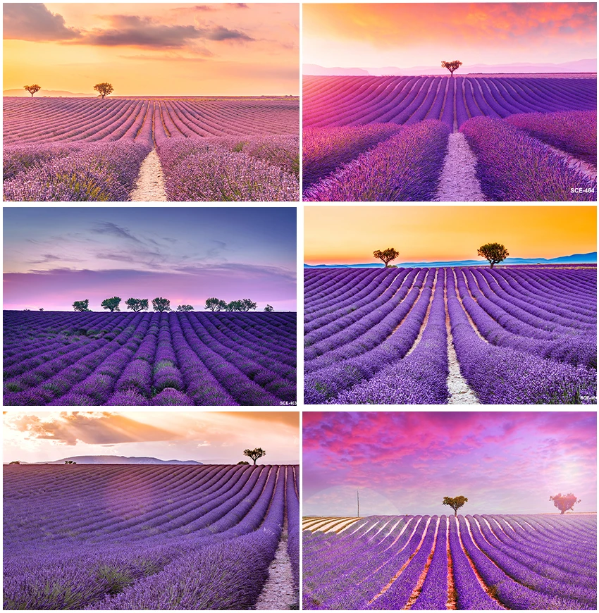 

Purple Flowers Lavender Spring Countryside Natural Scenic Backdrops Photographic Sunset Newborn Baby Portrait Decor Backgrounds