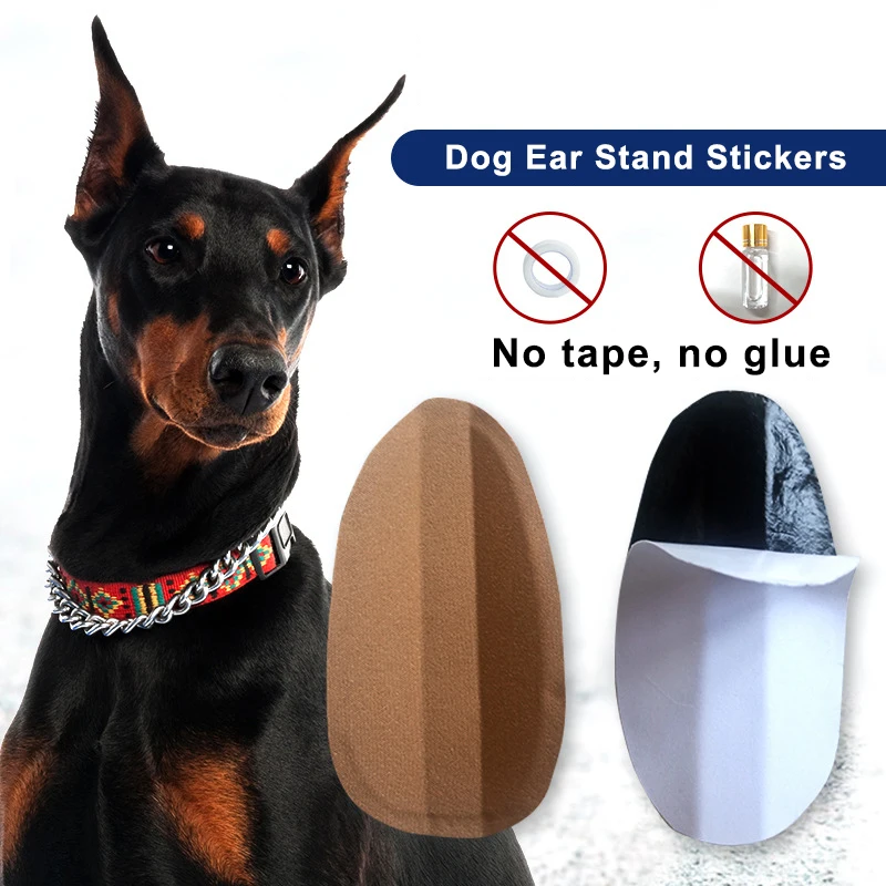 

Dog Ear Support Sticker Puppy Erection Ear Correction Tool Doberman Pinscher Horse Dog Large Dog Accessories Pet Supplies