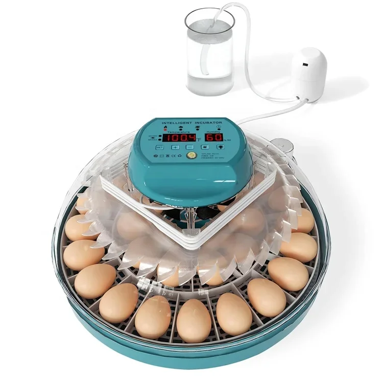 Newest Mini Incubator 30 Eggs Automatic Egg Incubator Dual Power