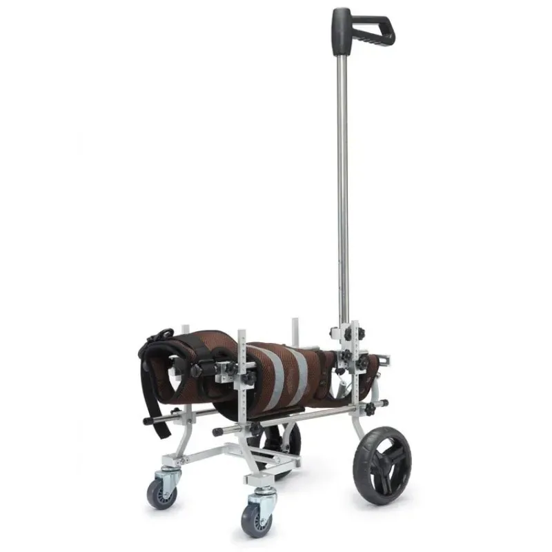 

Dog Legs Disability Stroller Pet Everything Harnesses Puppy Supplies Training Behavior Accessory