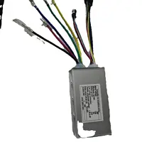 Controlador LSW1622-12M (personalizado) 36V 13A para Motor sin escobillas bicicleta eléctrica EBIKE BAFANG KITS Accesorios
