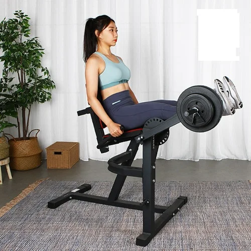

Custom Body-Solid Series Leg Extension And Curl Machine