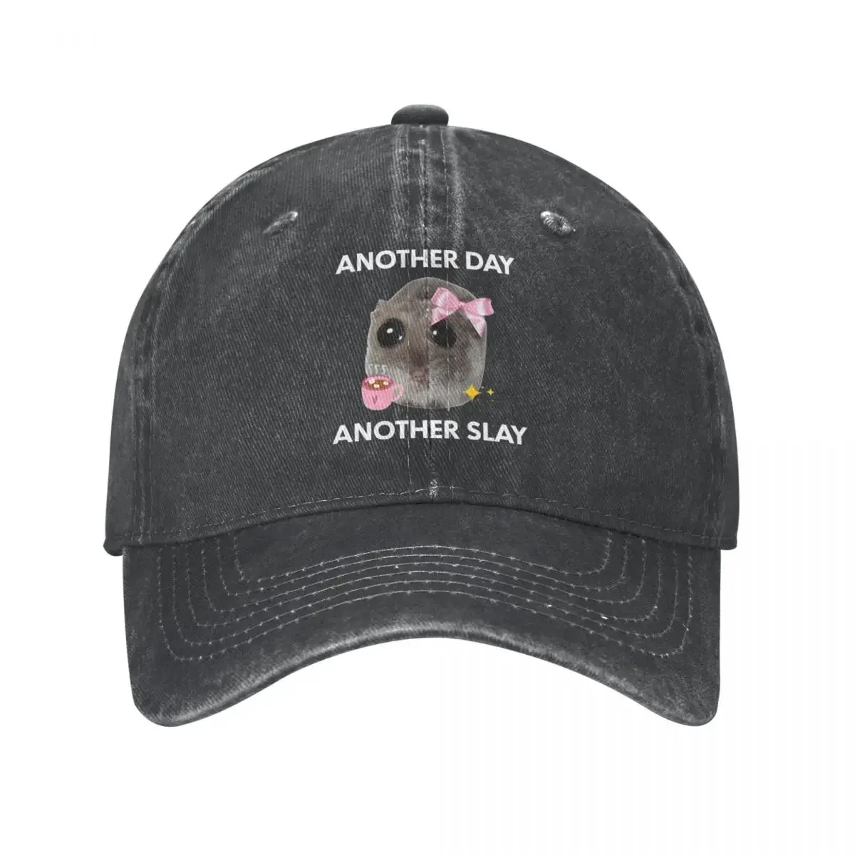 Another Day Another Sly Sad Hamster Meme Baseball Caps for Men Women Distressed Denim Washed Snapback Cap Summer Caps Hat