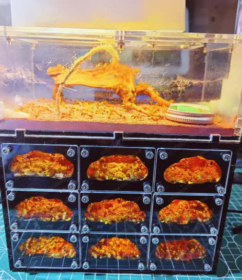 Pet Ant Workshop Cage, Acrylic Sand Nest Palace D Version Ant Nest Villa