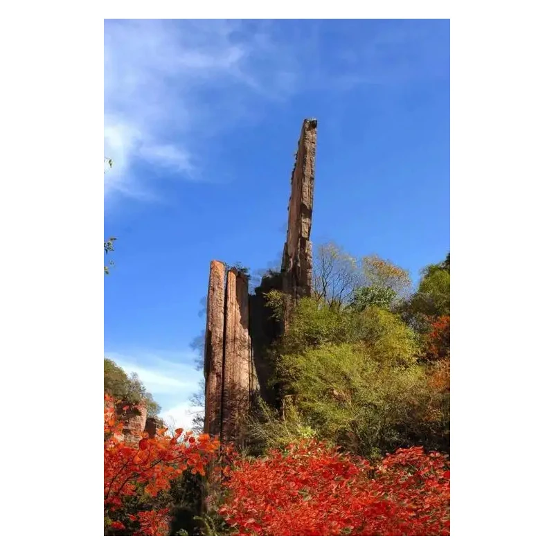 2D Barcode Scanner … - image