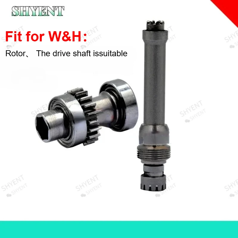 SHYIEINT Dental Turbine Cartridge Dental Rotor Turbine Drive Shaft Fit  W&H Handpiece  Dental Products Accessories