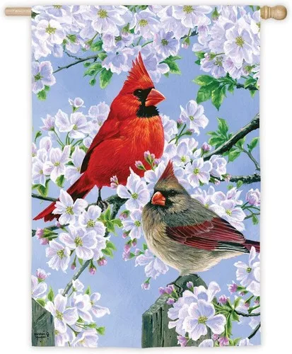 LNW Glorious Morning Cardinals SUEDE House Flag 28x44 XXQ