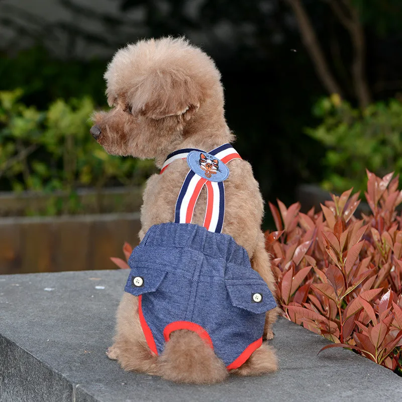 Denim-Höschen für Französische Bulldoggen, physiologische Höschen mit Punkten für weibliche Hunde, Sicherheits- und Hygienehöschen für kleine und mittelgroße Hunde, Katzen, Haustier-Shorts – Detail 3