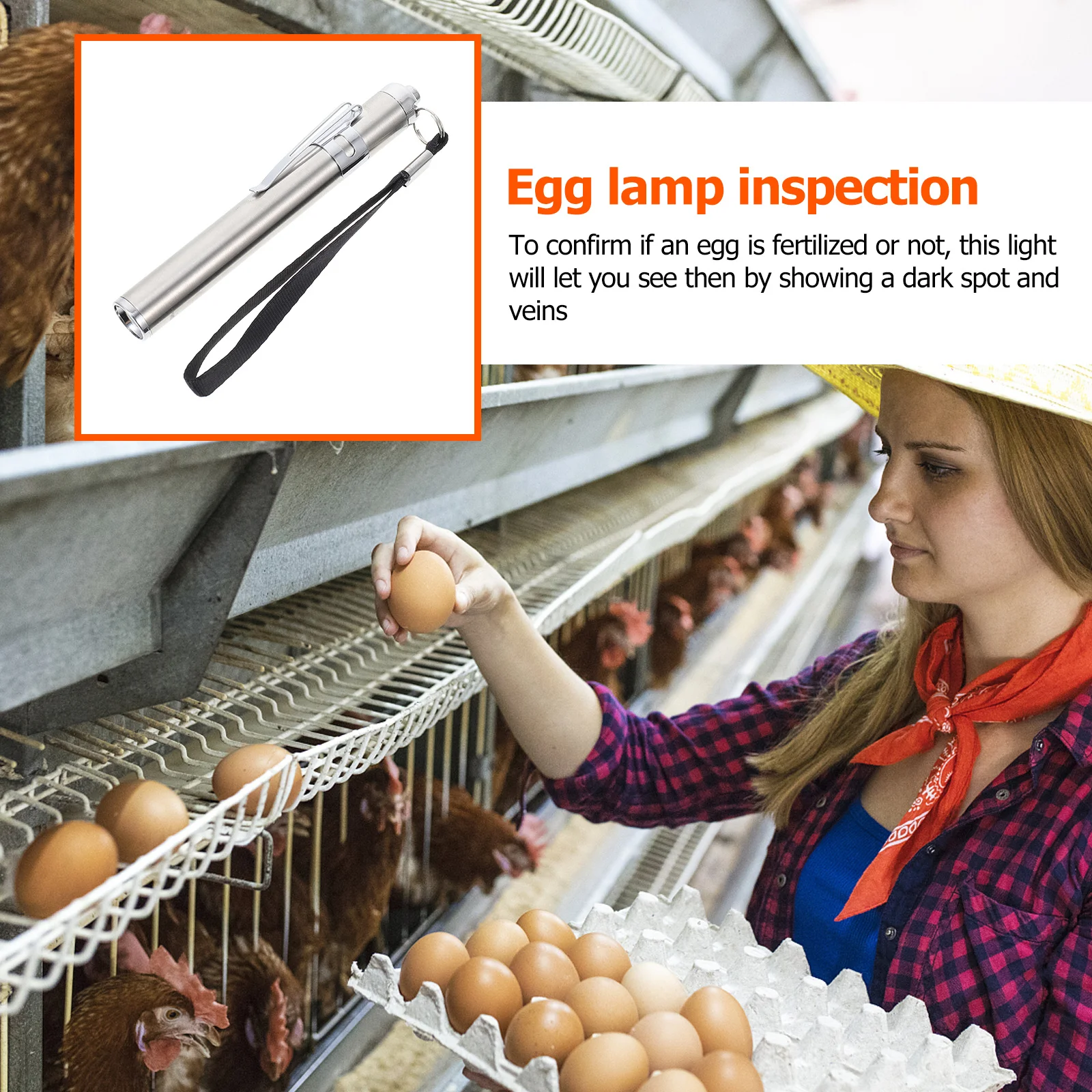 Vela de ovo led luz prata pequena lanterna para ovos incubadora lâmpada profissional ferramenta lanterna teste ovo