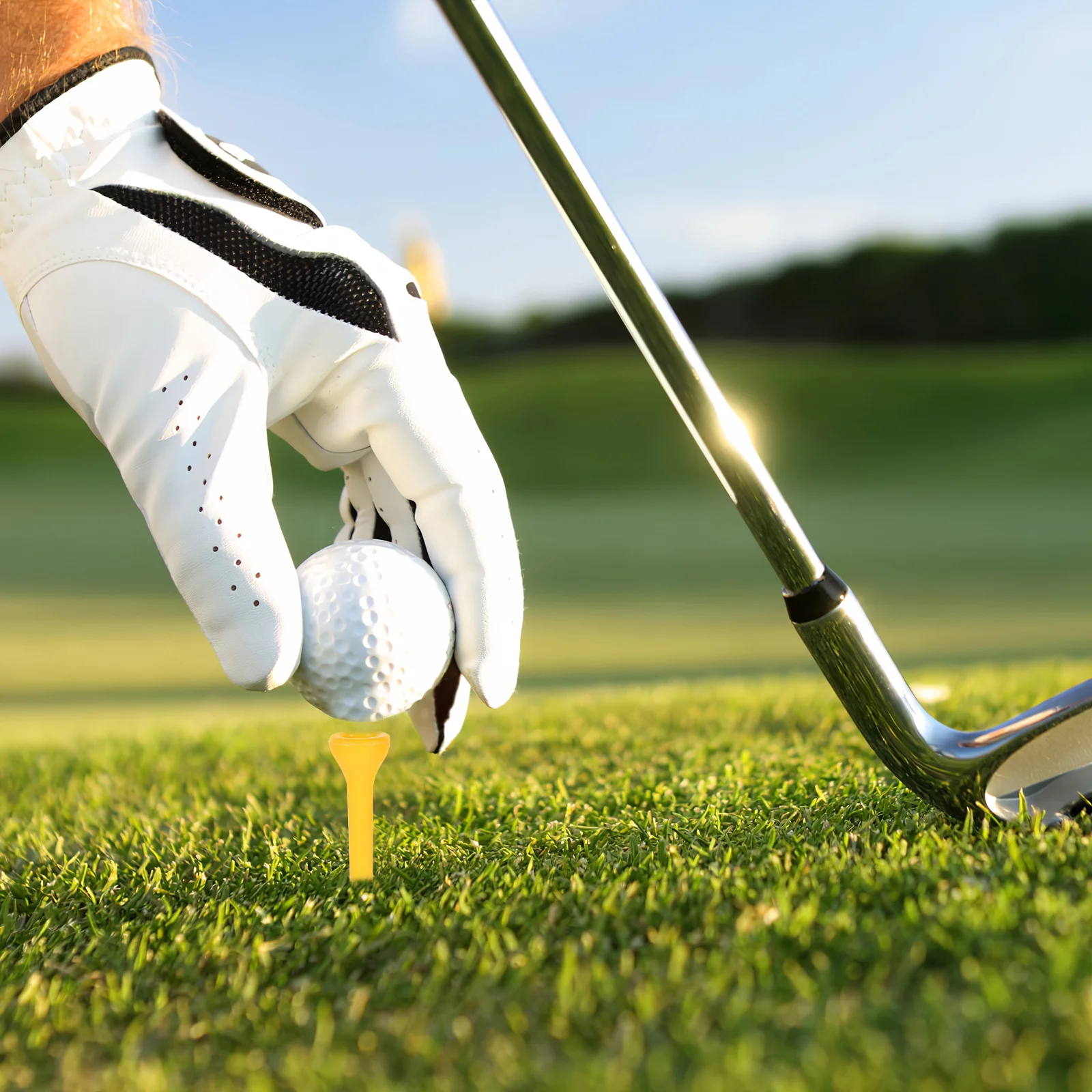 

100 Pcs Golf Accessories Tees for Bulk Small Professional Durable Mini Assorted Sizes Short