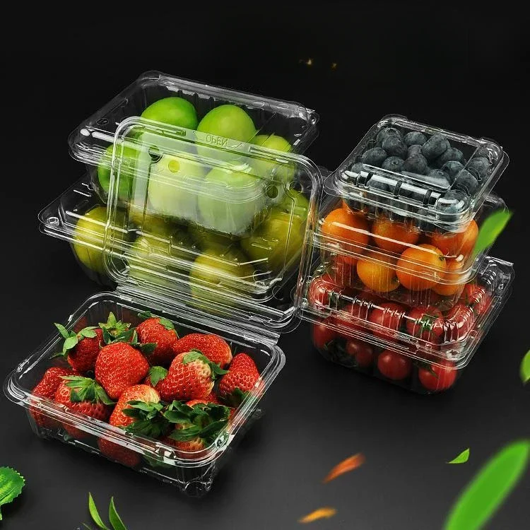 100pcs Disposable Fruit Boxes Transparent Strawberry Watermelon Packaging Box  Fruit and Vegetable Preservation Box with Lid