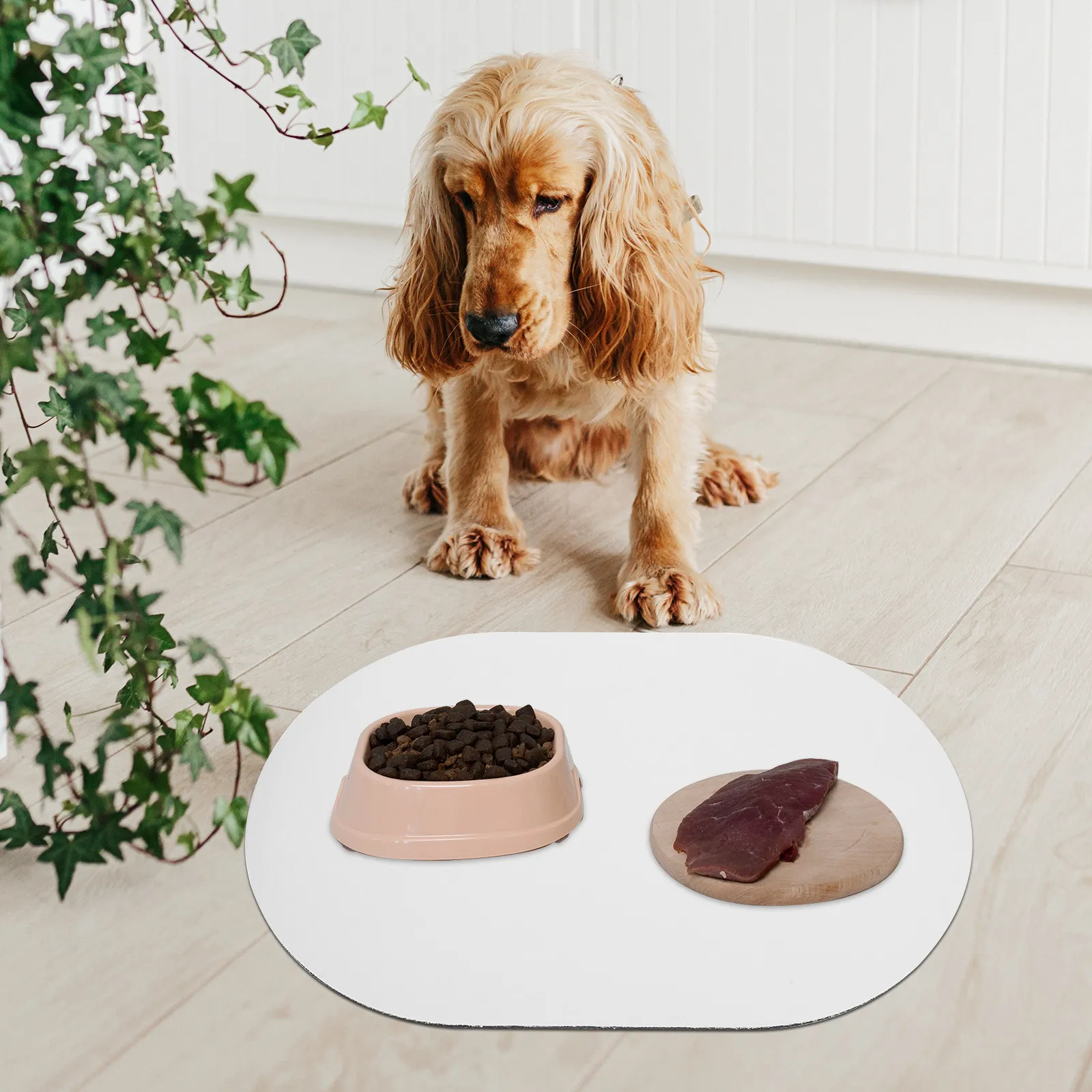 Premium Absorbent Pet Feeding Mat for Dogs Cats Water Bowl Food Spill Control Anti Leak Floor Protector Reusable Dog Feeding