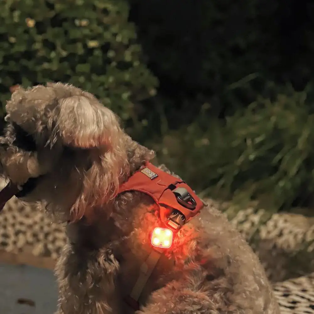 LED Pet Collar Pendant Safety Light Night Walking Glow Marker Flashing Accessory Tag For Dogs And Cats