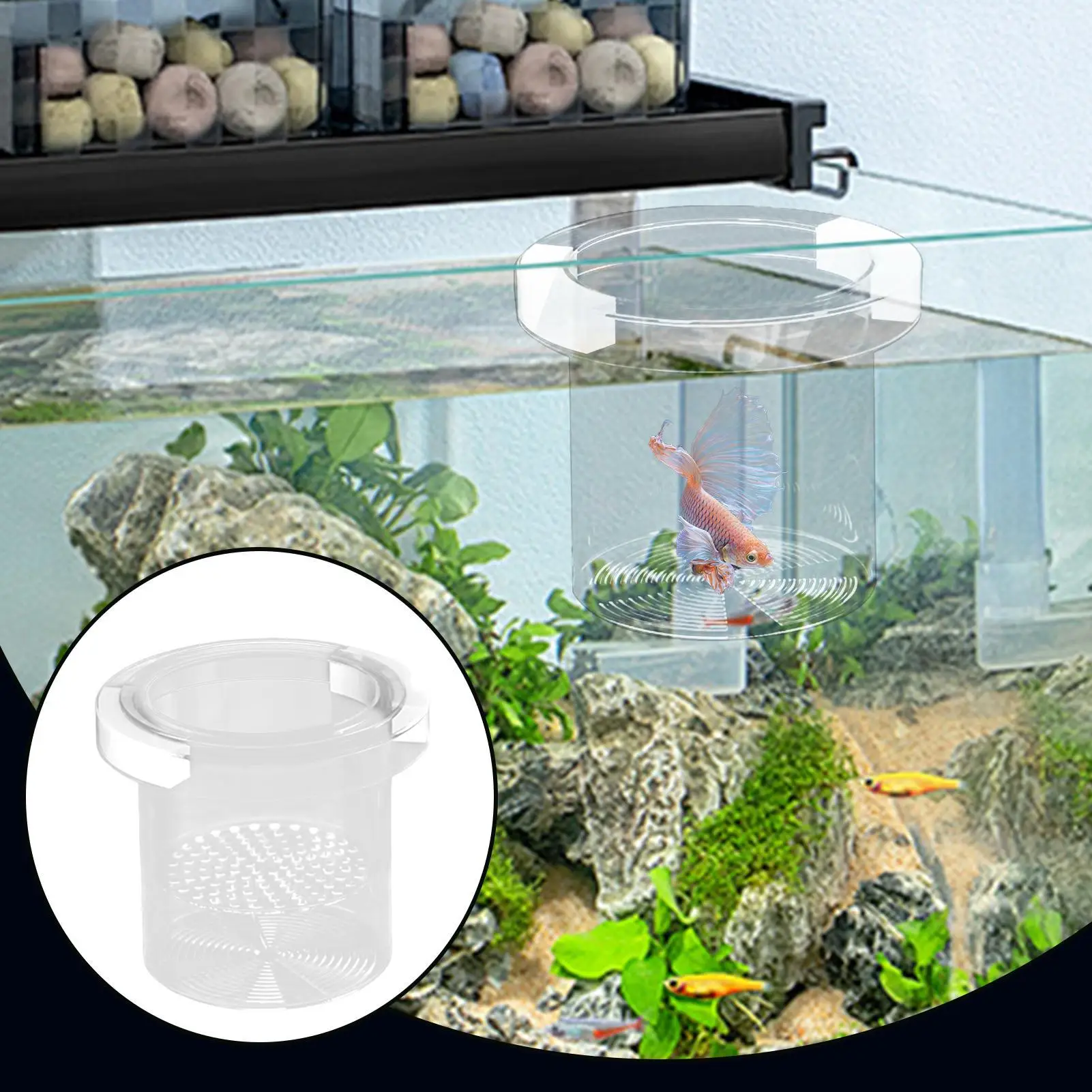 Acrylic Aquarium Isolation Box Transparent Shrimp Guppy Avoid bottom impurities interfering with fish fry isolation box