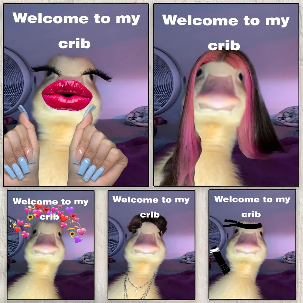 مرحبًا بكم في ملصق My Crib المضحك على شكل بطة، ملصق مساحة مثالي ذاتي اللصق لمكتب المسرح المنزلي، ديكور فني جداري، هدية رائعة