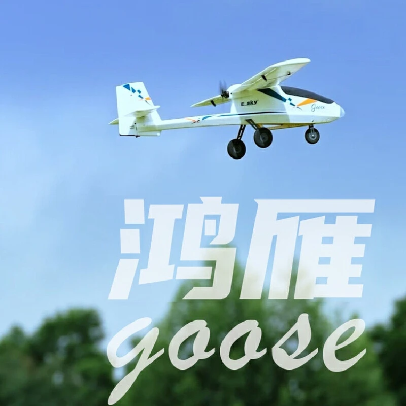 

ESKY Goose 1100mm Fixed-Wing Helicopter FPV 6-Axis Self-Stabilized Aerial Flight Platform Remote Control Aircraft Model RCc Toy