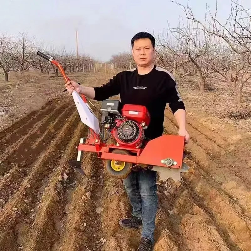 آلة إزالة الأعشاب المصغرة ذات اليد الصغيرة، عجلة حديدية، أداة حراثة كهربائية صغيرة للحديقة