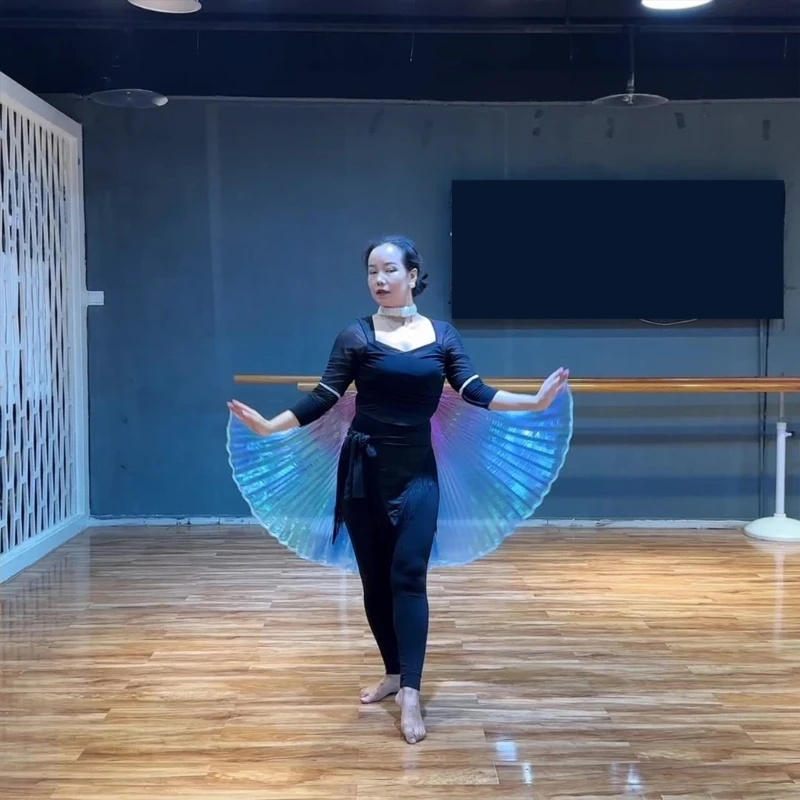 

Stage Performances Hanging Neck Wing Carnival Stage Shawl Props Belly Dance Wing