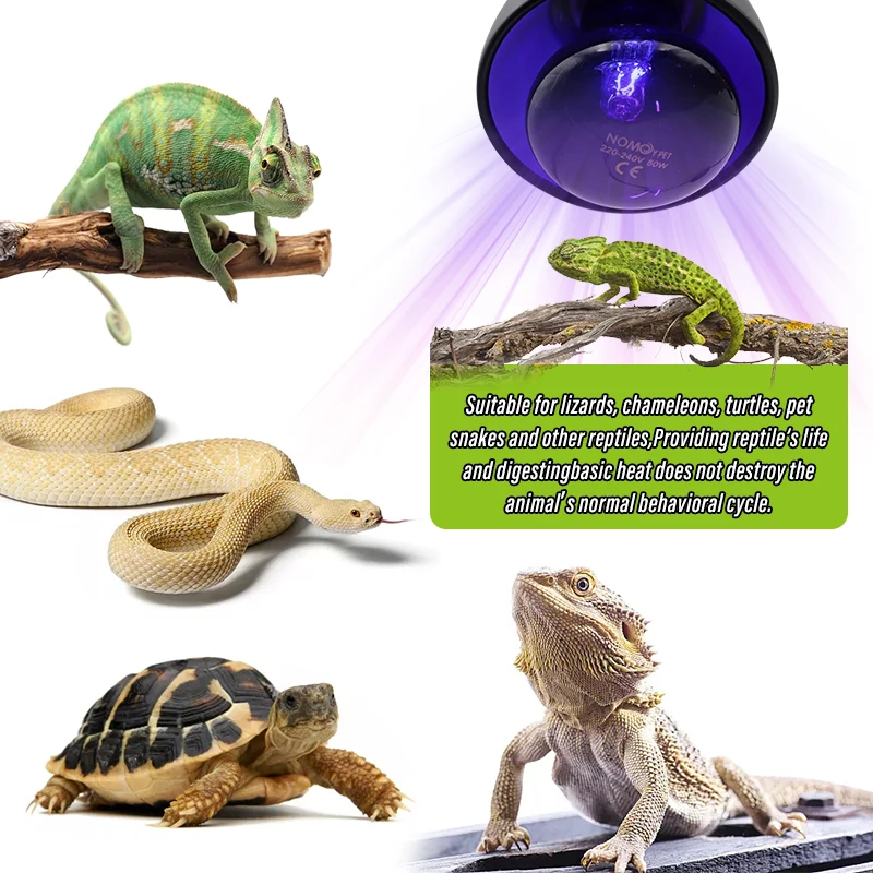 Lámpara de calefacción para mascotas, lámpara de noche E27 para lámpara de serpiente anfibia, bombilla de calor para reptiles, luz UV 25W 50W 75W