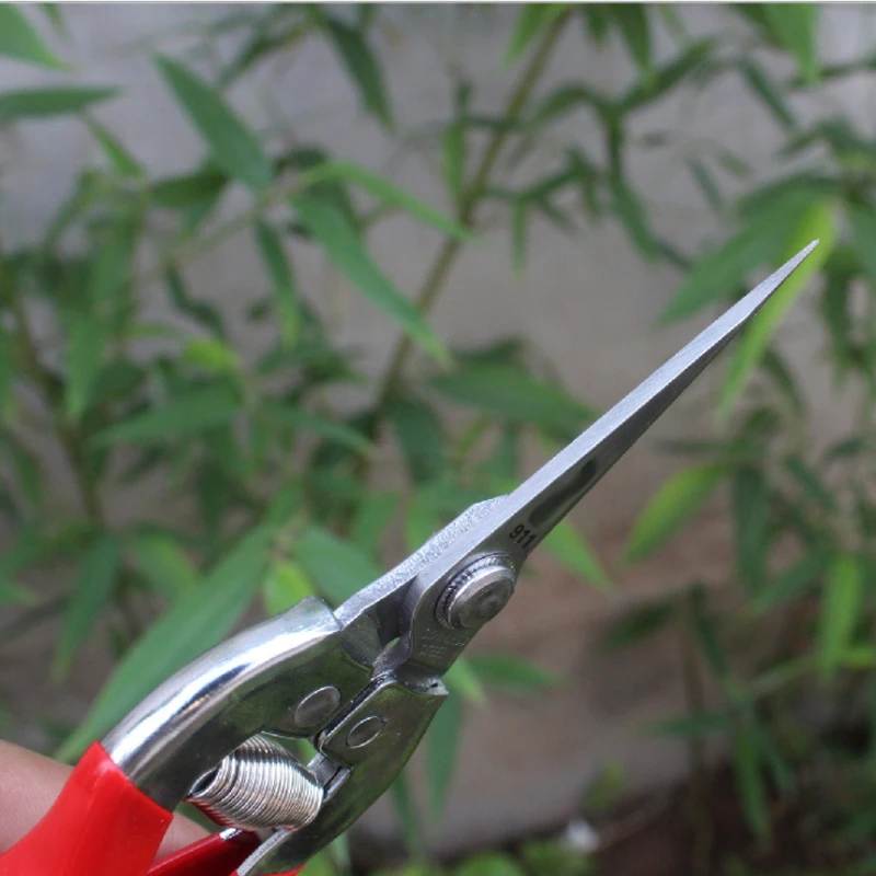 Picking Scissors Stainless Steel Thin Fruit Scissors Grape Pitaya Picker Succulent Flower Scissors