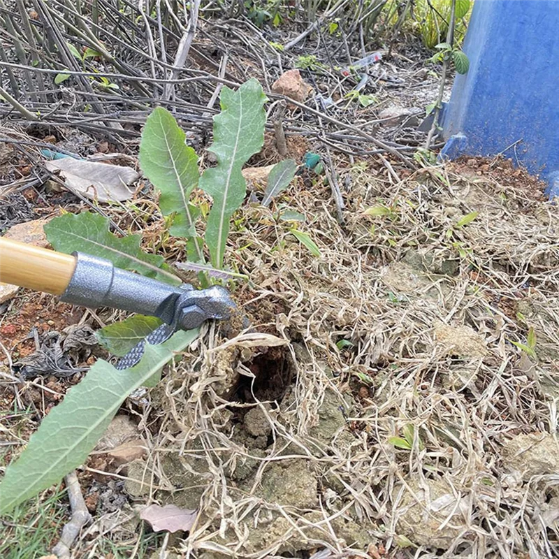 M12k-ferramenta de capina de jardinagem, extrator de ervas daninhas com furos de parafuso, substituição portátil, cabeça de capinação, escavação, acessórios de remoção de capinação