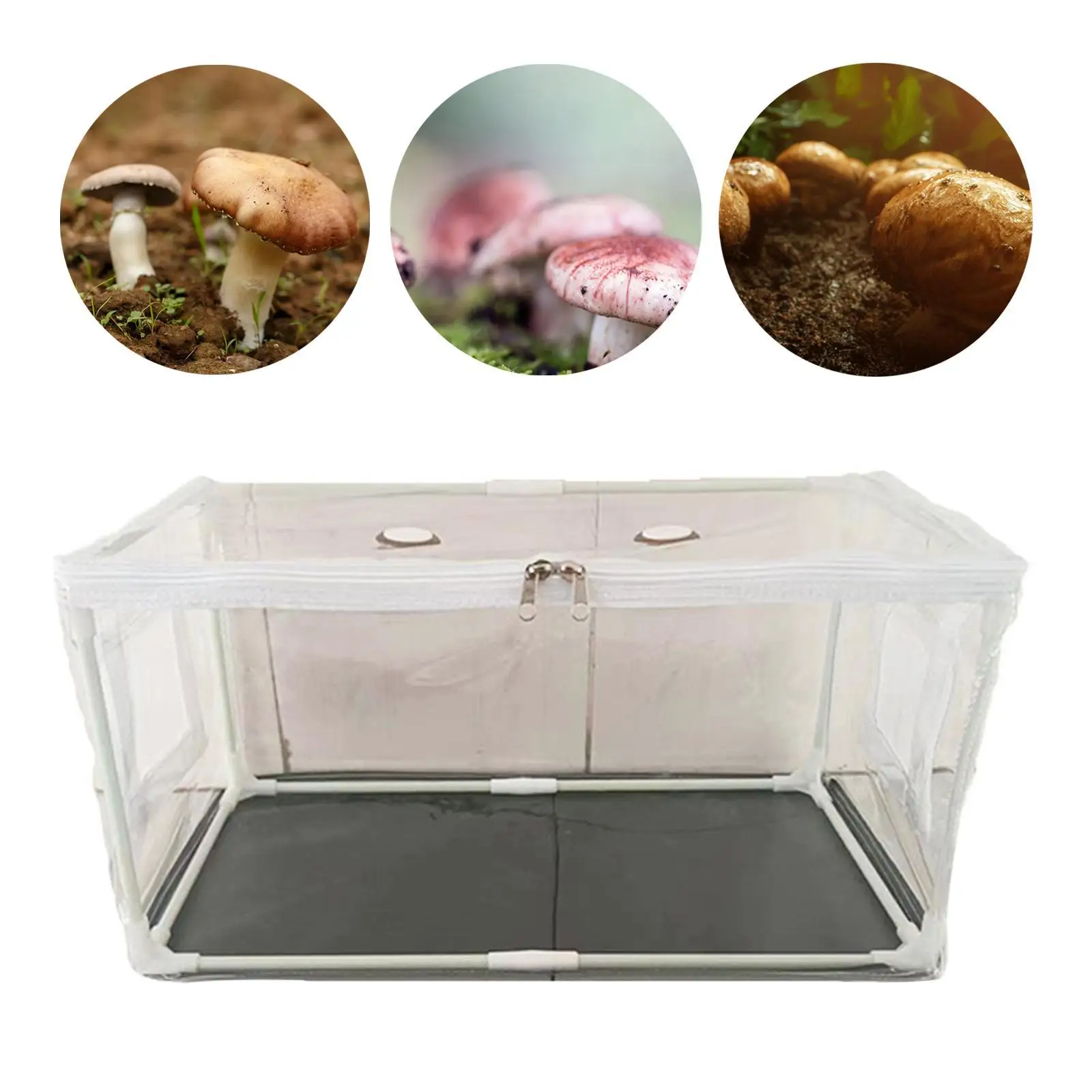 

Mushroom Container DIY Kit Space Saving Transparent Cover for Home Gardening