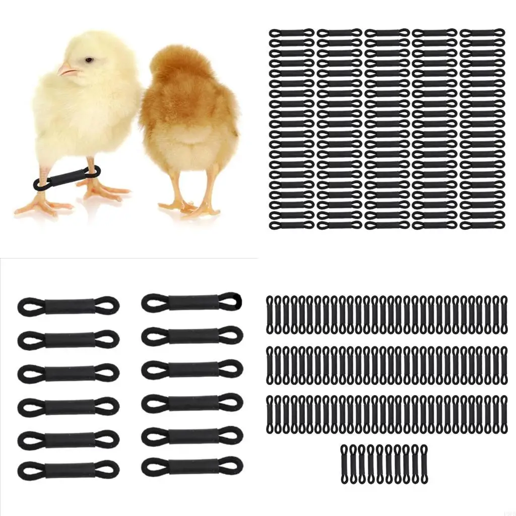 

P9FB 50/100 шт., зажим для ножки цыпленка для раздвижных ног, ножки для разбрасывания птиц