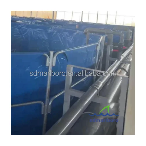 China Industrial Fish Farming Equipment Indoor Shrimp Farming Equipments Supplier