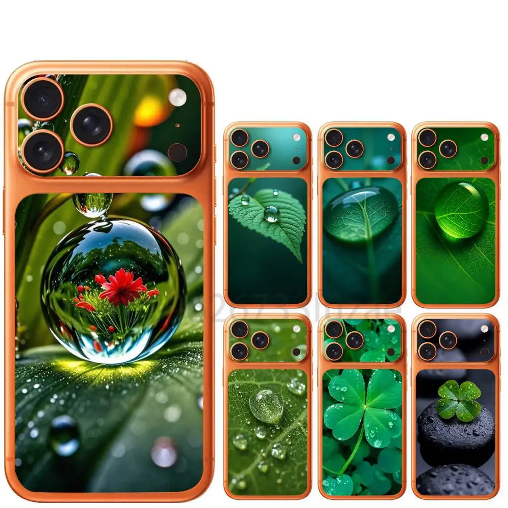 

dew on leaves For iPhone 17 Pro 17 ProMax Sticker Rear Screen Protector Film Lens Protector Cover