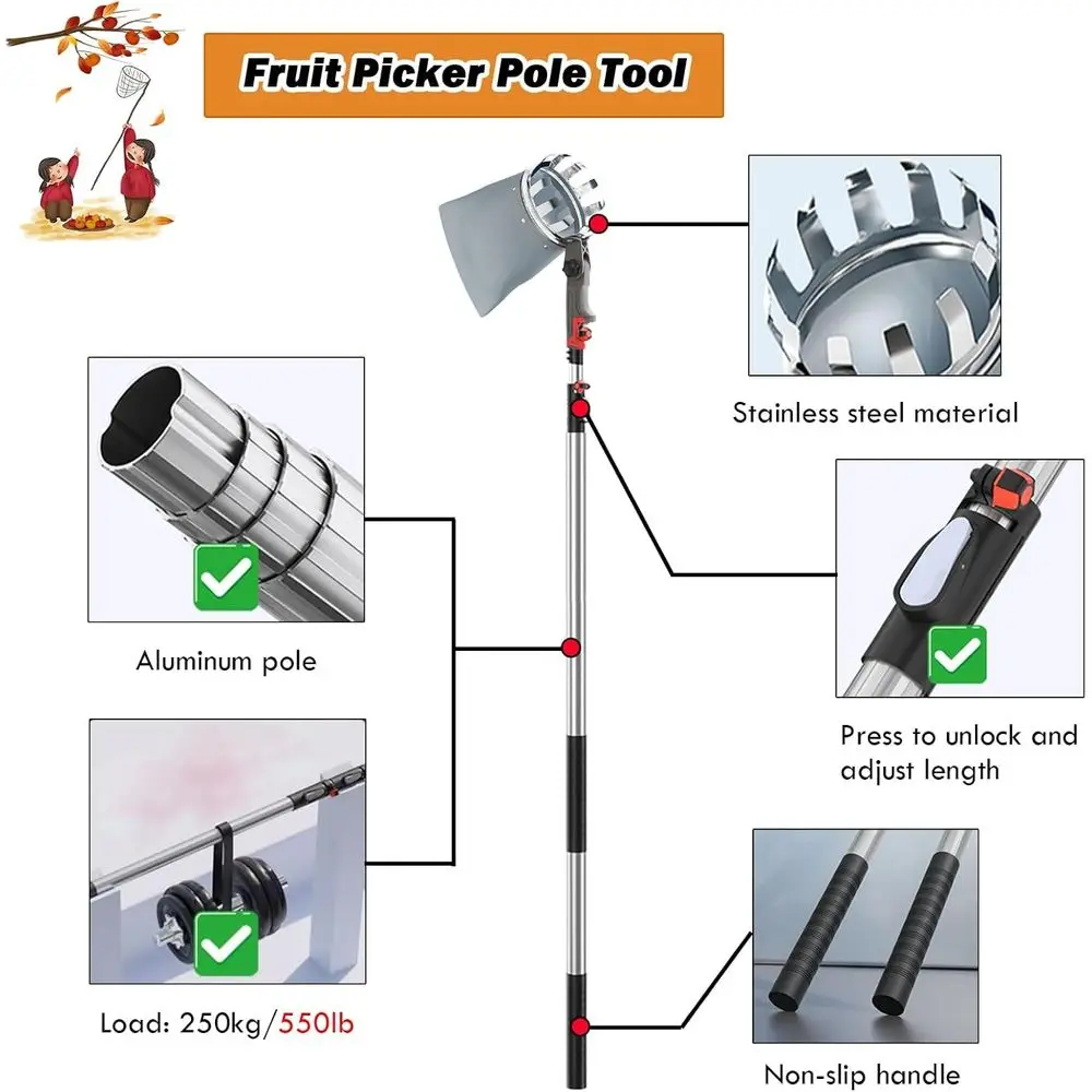 バスケット付き延長フルーツピッカー、アボカド、ドングリ、レモン、梨、マンゴーの収穫用に3～7m調節可能なポール