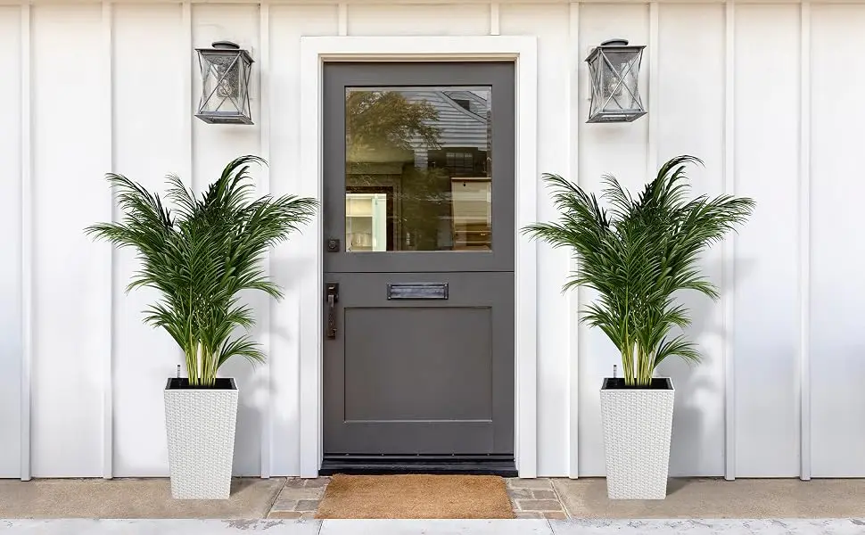  Tall Planters Set of 2
