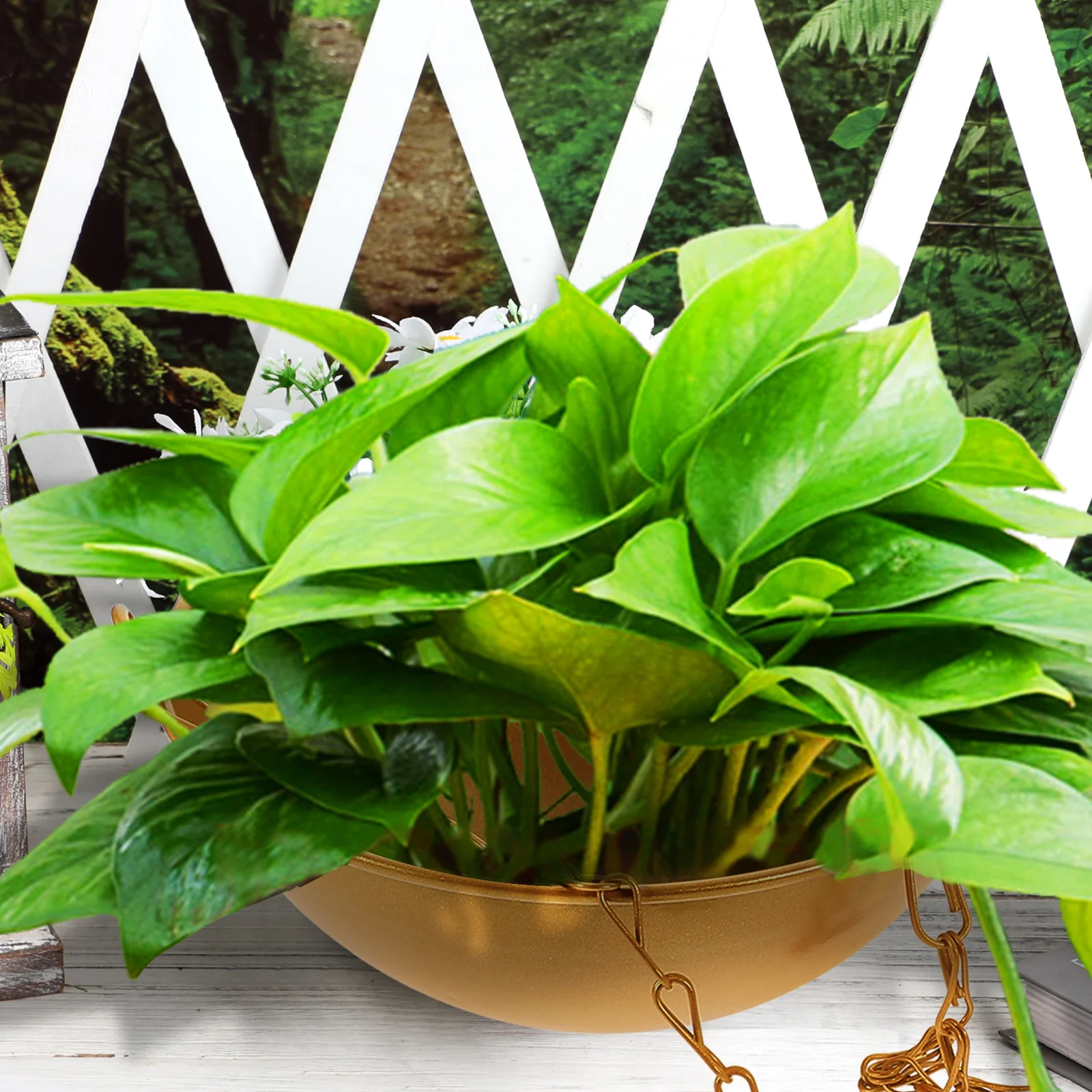 

White Small Hanging Flowerpot Durable Plastic Planter for Balcony Garden Outdoor Plants Home Succulents Ferns Container