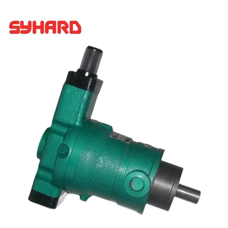 10YCY14 16YCY14 25YCY14 32YCY14 40YCY14 63YCY14-1D High Pressure Axial Plunger