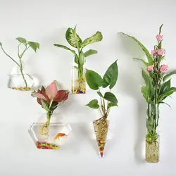 Plantas Hidropônicas De Forma Irregular Vaso, Artesanato De Vidro, Tanque De Peixes De Parede, Vaso De Flores, Recipiente De Planta