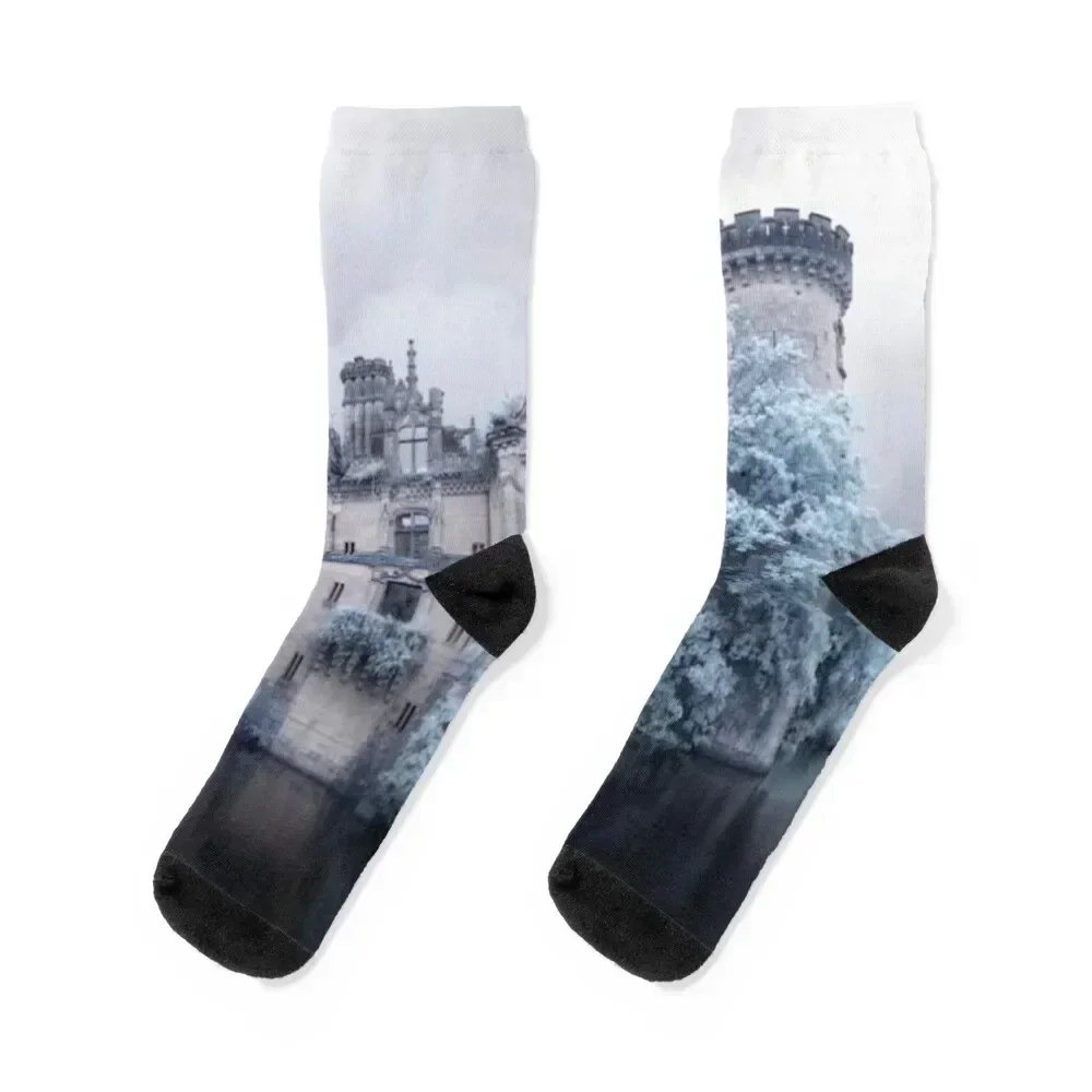 

Chateau de la Mothe-Chandeniers, France Socks Crossfit with print Stockings man fashionable Boy Socks Women's