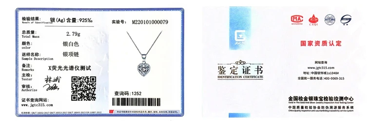 Neue Mode 925 Sterling Silber Herz CZ Anhänger Halsketten Frauen Schmuck Jahrestag Geschenk Lila & Rot & Rosa Zirkon Schlüsselbein kette – Detail 5