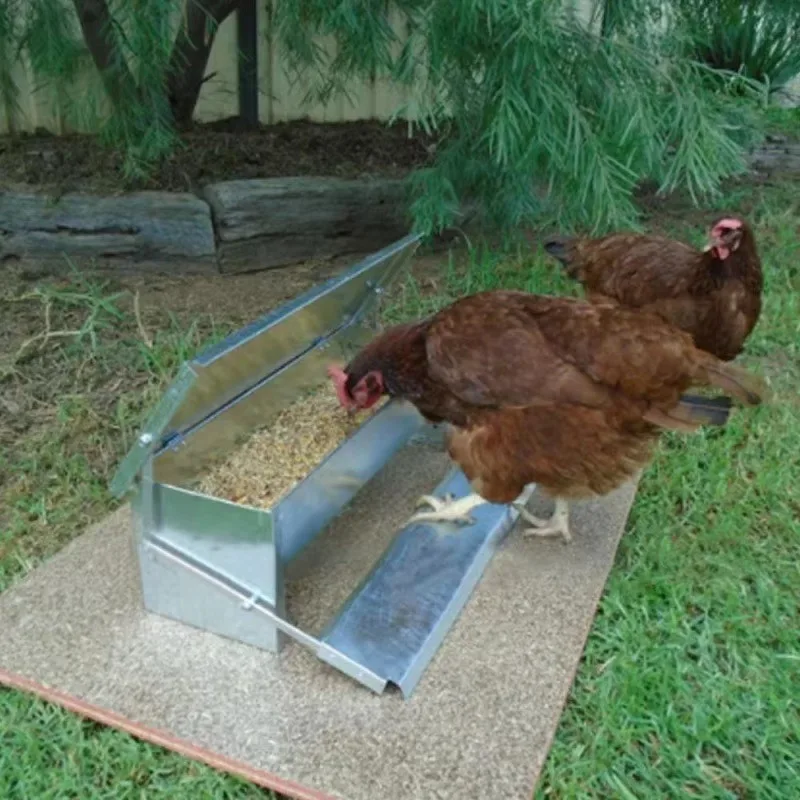 

Fully automatic stainless steel chicken foot-step trough anti-rat and waterproof foot-operated automatic feed trough