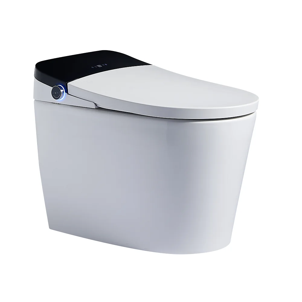 

ZC1 Bathroom Sanitary Ware Floor Mounted Water Closet Electric Automatic Toilet Seat Ceramic Commode Modern Smart Toilet