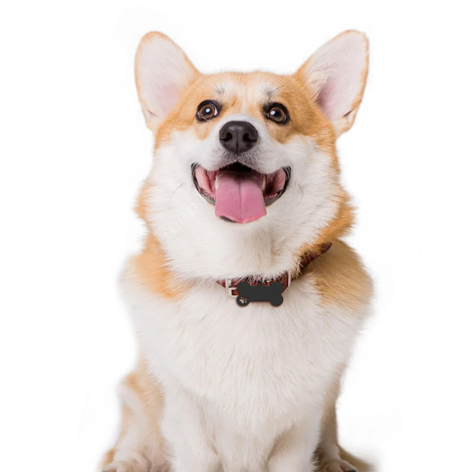 

4pcs Pet ID Tags Stainless Steel Custom Engraved Dog Name Labels Blank Bone Charms Waterproof Dog Collar Accessories